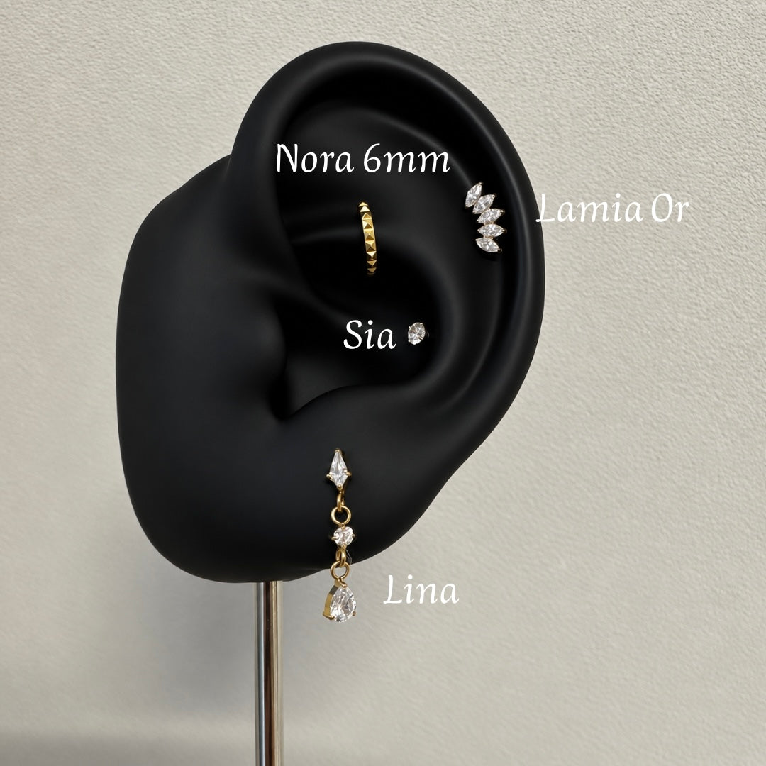 NORA - Anneau en titane ASTM F136